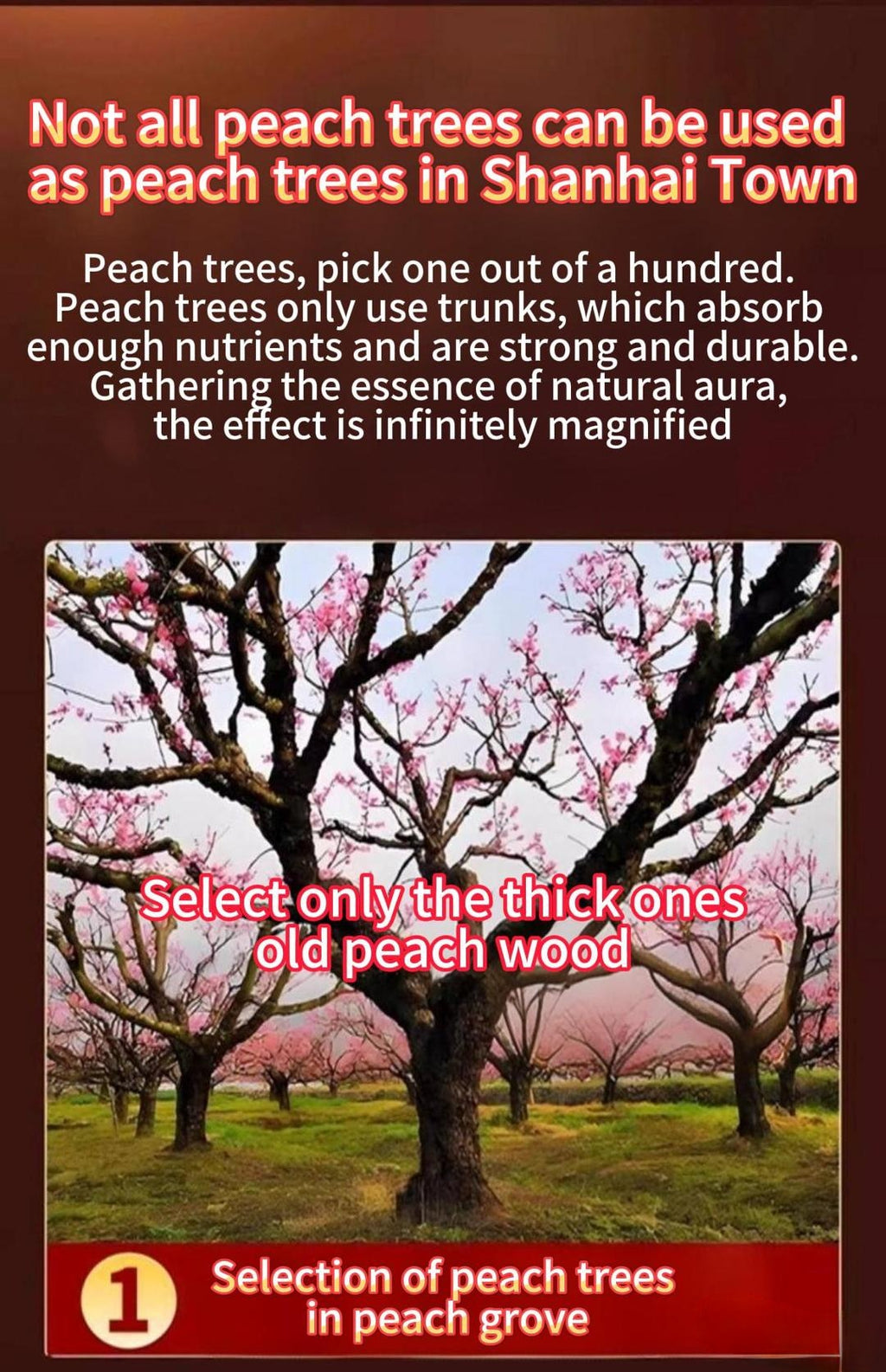 Taoshan Mountain & Sea Peach Wood Wall Hanging – Hand-Carved Feng Shui Talisman for Home Protection