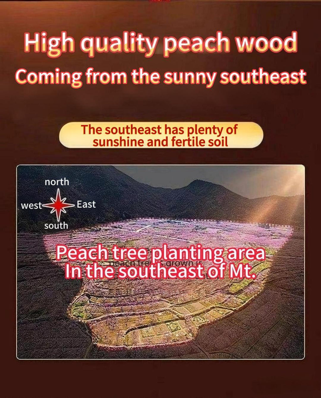 Taoshan Mountain & Sea Peach Wood Wall Hanging – Hand-Carved Feng Shui Talisman for Home Protection